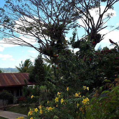 Villa del Carmen Haven Bohol Exteriör bild