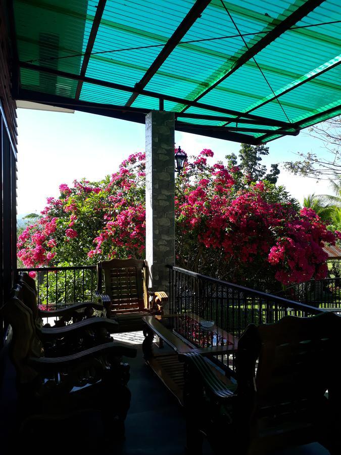 Villa del Carmen Haven Bohol Exteriör bild