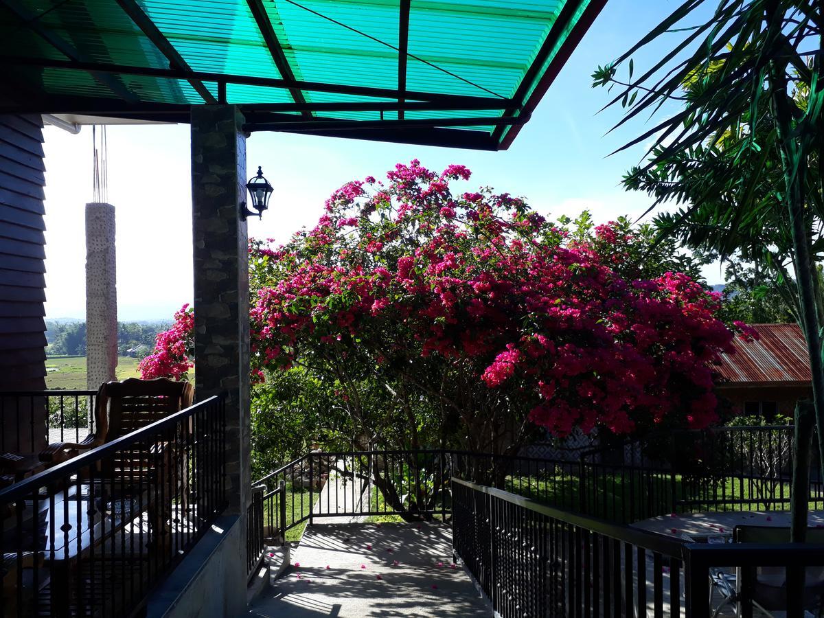 Villa del Carmen Haven Bohol Exteriör bild