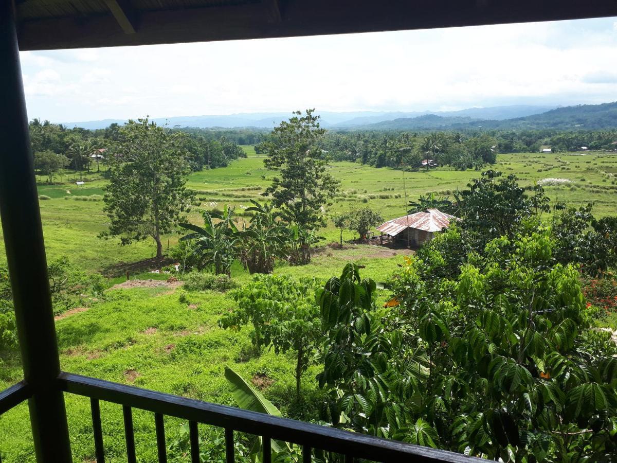 Villa del Carmen Haven Bohol Exteriör bild