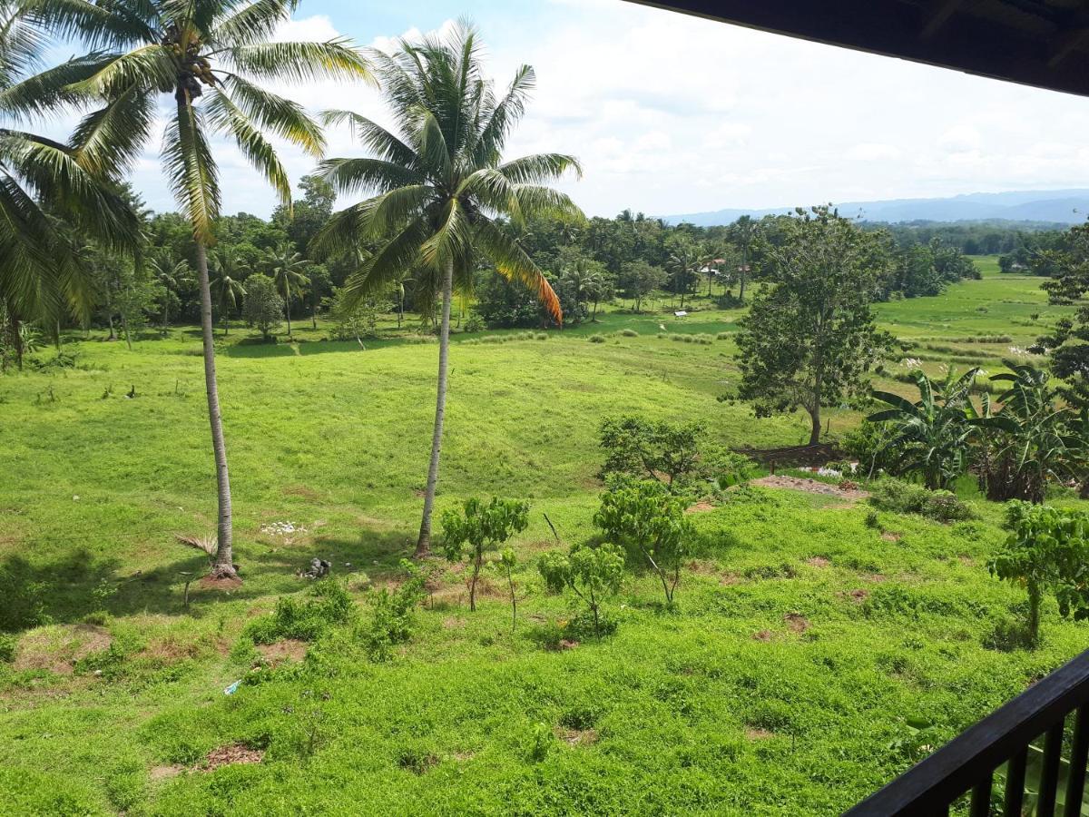 Villa del Carmen Haven Bohol Exteriör bild
